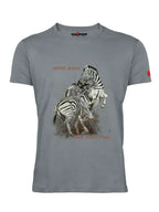 zebra_grey